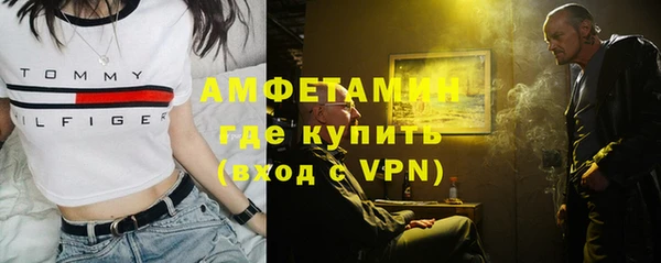 сатива Вяземский