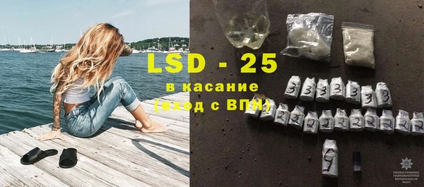 сатива Вяземский