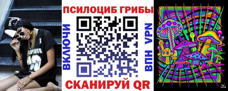 Псилоцибиновые грибы Psilocybine cubensis  Змеиногорск 